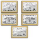 Kit 5 Certificados Diplomas A4 com Tela de Acetato e MDF