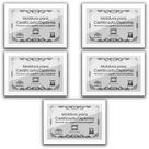 Kit 5 Certificados Diplomas A4 Com Tela De Acetato E Mdf Titulos Moldura Branca