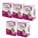Kit 5 Chá Leão Preto e Frutas Vermelhas 10 Sachês Gelado 25g