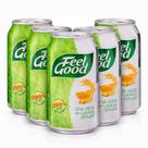 Kit 5 Chá Verde c/ Laranja e Gengibre FEEL GOOD 330ml