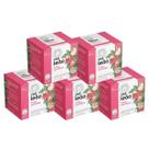 Kit 5 Chás Leão Frutas Vermelhas com 10 Sachês Cada Linha Frutas e Flores