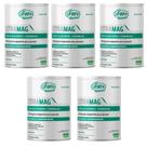 Kit 5 Citrato De Magnésio + Vitamina B6 Citramag 5x300g Sabor Citrus Unilife Kit 5 Citrato De Magnésio + Vitamina B6 Citramag 5x300g Sabor Citrus Unilife