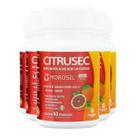 Kit 5 Citrusec Catarinense 60 Cápsulas