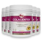 Kit 5 Colagentek Vitafor 300g Abacaxi Kit 5 Colagentek Vitafor 300g Abacaxi