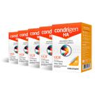 Kit 5 Condrigen HA Colágeno Tipo 2 Maxinutri 30 Cápsulas Kit 5 Condrigen HA Colágeno Tipo 2 Maxinutri 30 Cápsulas