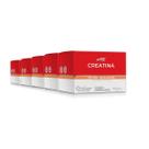 Kit 5 Creatina + Beta Alanina Katiguá 30 Sachês Limão