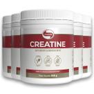 Kit 5 Creatina Monohidratada Creatine Vitafor 300g