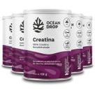 Kit 5 Creatina Monohidratada Ocean Drop Vegana 150g Kit 5 Creatina Monohidratada Ocean Drop Vegana 150g