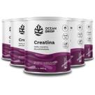 Kit 5 Creatina Monohidratada Ocean Drop Vegana 300g Kit 5 Creatina Monohidratada Ocean Drop Vegana 300g