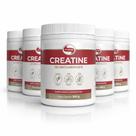 KIT 5 CREATINE Vitafor 100% Creatina Monohidratada 300g KIT 5 CREATINE Vitafor 100% Creatina Monohidratada 300g