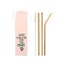 Kit 5 em 1: 4 canudos de inox (shake 10mm) + Escova + Ecobag What