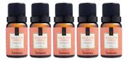 Kit 5 Essencia Para Aromatizador Difusor Eletrico Para Sabonete Vela Aromatica Maçã com Canela