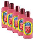 kit 5 Essência Para Limpeza Concentrada Coala Romã 120ML