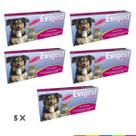 Kit 5 evigest injetavel 1ml