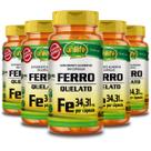 Kit 5 Ferro Quelato FE Unilife 60 Cápsulas Kit 5 Ferro Quelato FE Unilife 60 Cápsulas