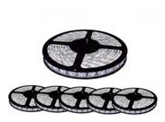Kit 5 Fita Led Rolo 5m 5050 Branco Frio A Prova D'agua