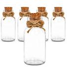 Kit 5 Garrafinhas De Vidro 100ml Com Rolha Natural E Sisal Para Temperos Pimentas Conservas Lembrancinhas E Decoração