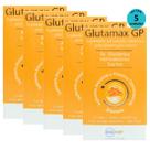 Kit 5 Glutamax GP Suplemento P/ Animais 80ml- Inovet