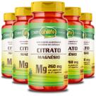 Kit 5 Magnésio Citrato Unilife 60 cápsulas