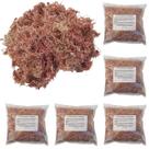 Kit 5 Musgos Sphagnum 5 Litros Substrato Substrato Premium Para Plantas Orquídea Jardinagem Interna Externa