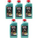 Kit 5 Oleo Castrol Magnatec 5w40 A3/B4 502 00