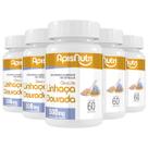 Kit 5 Óleo de Linhaça Apisnutri 60 Cápsulas