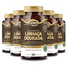Kit 5 Óleo de Semente de Linhaça Dourada 1000mg Unilife 60 Cápsulas