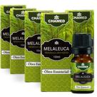 Kit 5 Óleo Essencial de Melaleuca alternifolia Tea Tree 10ml Kit 5 Óleo Essencial de Melaleuca alternifolia Tea Tree 10ml