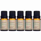 Kit 5 Óleo Essencial Menta Piperita Puro e Natural Via Aroma 10ml
