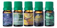 Kit 5 Óleos Essenciais Top Vendas