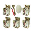 Kit 5 Ovos Escavação Dinossauro Fóssil Arqueologia Brinquedo
