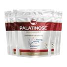 Kit 5 Palatinose Vitafor 600g Neutro