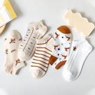 Kit 5 Pares De Meias Fofas Marrom Super Cute Kawaii Kit 5 Pares De Meias Fofas Marrom Super Cute Kawaii