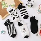 Kit 5 Pares De Meias Vaquinha Fofas Kawaii Divertida Criativa