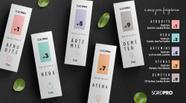 Kit 5 Perfumes feminino 15mL