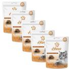 Kit 5 Petisco Hana Bola de Pelos Gato Petisco Adulto 60g