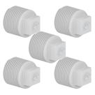 Kit 5 Plug Tampão Roscável Rosca Macho Conexão PVC Branco Canos Água Fria De 1” Polegada 32mm Tigre