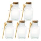 Kit 5 Pote Porta Tempero Redondo Vidro com Colher de Bambu e Tampa Rolha 100ml Kit 5 Pote Porta Tempero Redondo Vidro com Colher de Bambu e Tampa Rolha 100ml