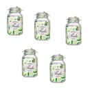 Kit 5 Potes de Vidro Hermético Original FIDO Terrina 3000 ml Ø 13,5 mm Multiuso