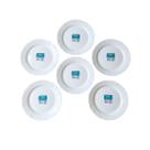 Kit 5 Pratos Rasos Brancos Modelo Pétala Vidro Opaco 25,5cm