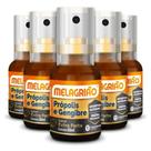 Kit 5 Própolis Spray 30ml Catarinense Extra Forte