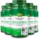 Kit 5 Psyllium Unilife Psylliumax 60 cápsulas