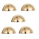Kit 5 puxador shell 48 mm zen gold (dourado brilhante) zp4319.a00 concha Kit 5 puxador shell 48 mm zen gold (dourado brilhante) zp4319.a00 concha