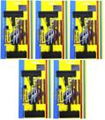 Kit 5 Reparo de Pneu Borracheiro Automotivo Carro Moto Bike