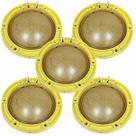 Kit 5 Reparos Originais Driver Eros E405 Trio EVO 200 Watts RMS 8 Ohms Peça Reposição