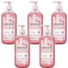 kIT 5 Sabonete Gel Flor de Cerejeira Renovação e Energia 500 ml Hidramais
