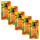 Kit 5 Sabonete Líquido para Mãos Lux Essências do Brasil Flor Cajueiro Refil 240ml