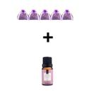 Kit 5 Sachês Lavanda Natural + Essência 10ml Aromatizador