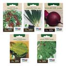 Kit 5 Sementes Couve Tomate Cebolinha Beterraba Rúcula