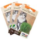 KIT 5 Sementes Grama De Gato Grama Pet Felino Complemento Alimentar